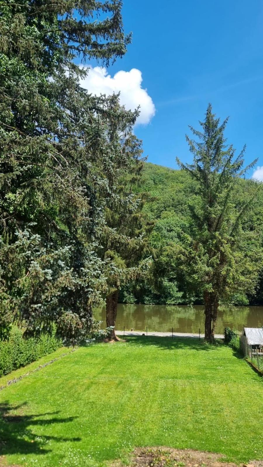 Le Sapin Bleu Villa Hastiere-par-dela Eksteriør billede